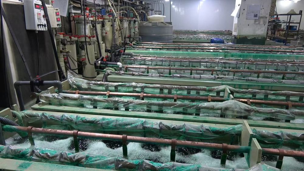 电镀产线：镀层厚度与色泽在这里定型